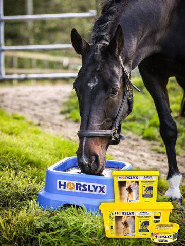 🐴 Péče o koně a poníky